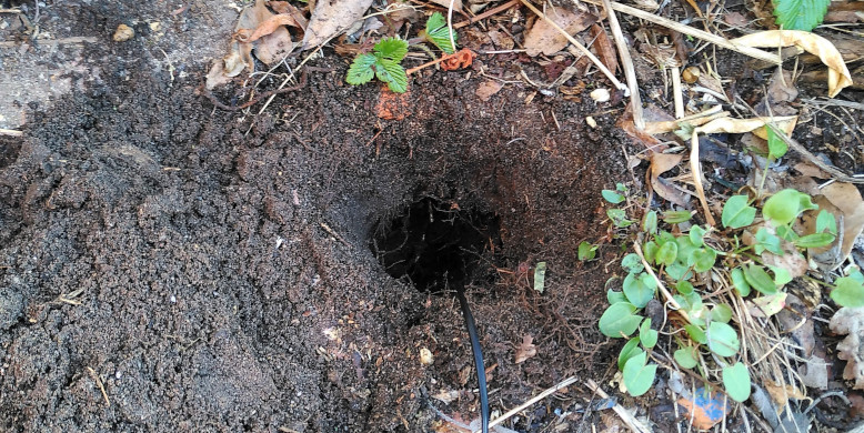geothermal test hole